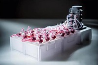 全自动3D细胞类器官培养系统