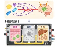 初学者必读：微生物-肠-脑轴与多器官芯片技术的融合路径
